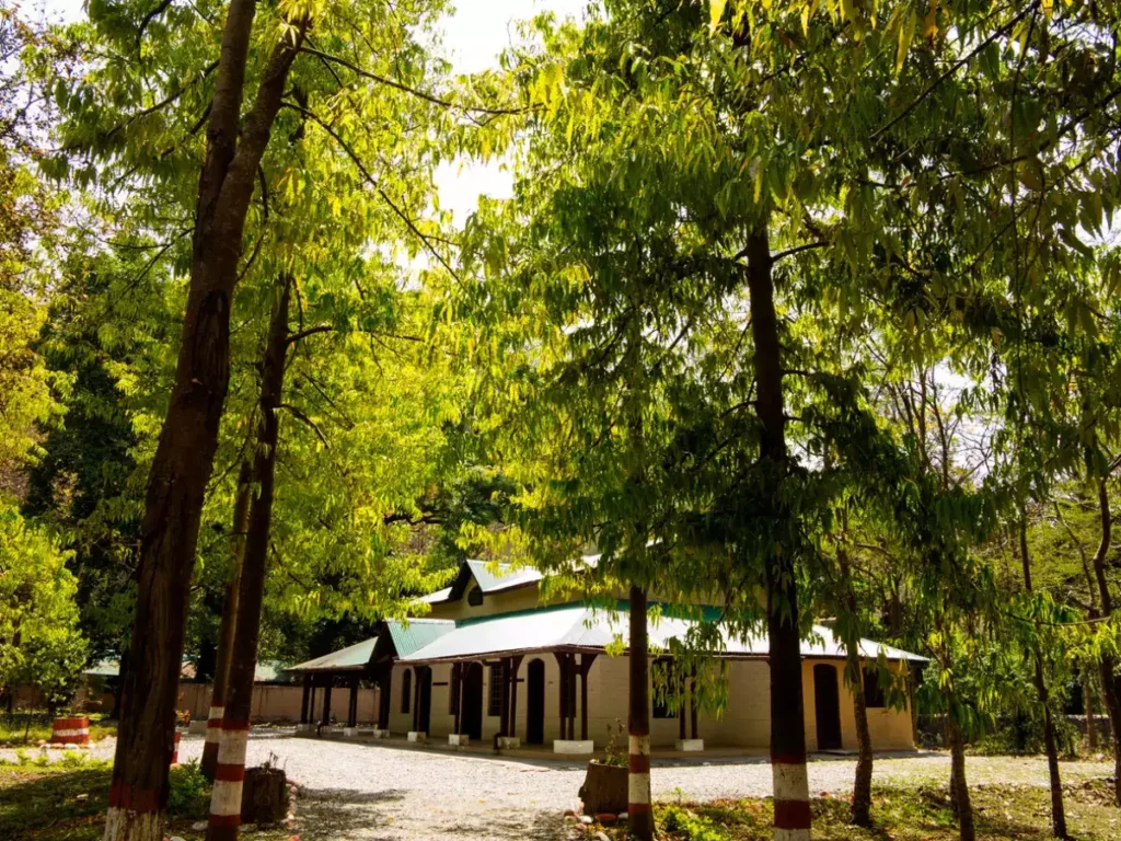 Unconventional New Year Getaways in Proximity to Delhi