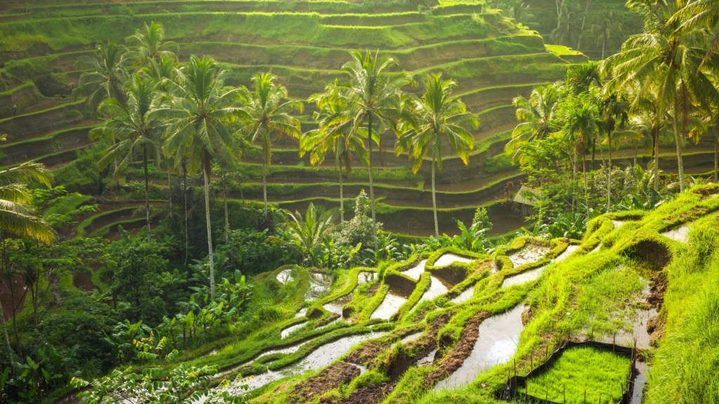 Discover Bali: 6 Unforgettable Destinations You Must Visit