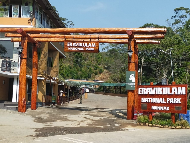 Eravikulam National Park: Fascinating Facts for Wildlife Enthusiasts