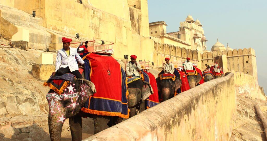  Jaipur’s Amber Fort Elephant Rides