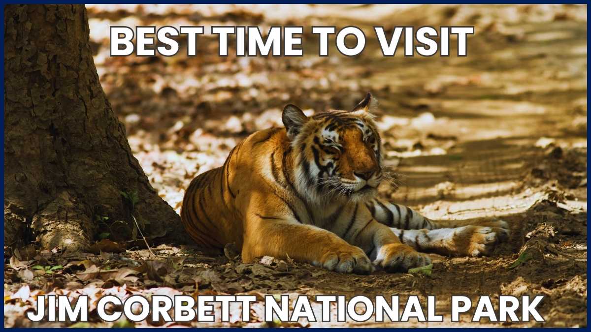 jim corbett national park