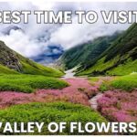 valley of flowers