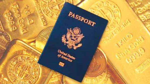 Donald Trump's ‘Gold Card’ Visa: What It Means and Why Critics Are Concerned