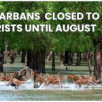 sundarbans