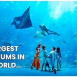 aquariums