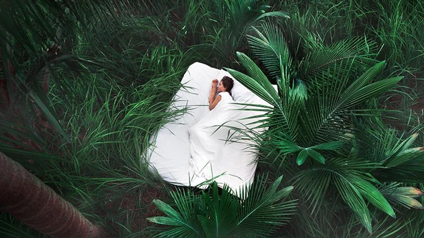 Sleep Tourism - सोने के लिए ट्रैवल कर रहे हैं
