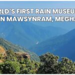 rain museum
