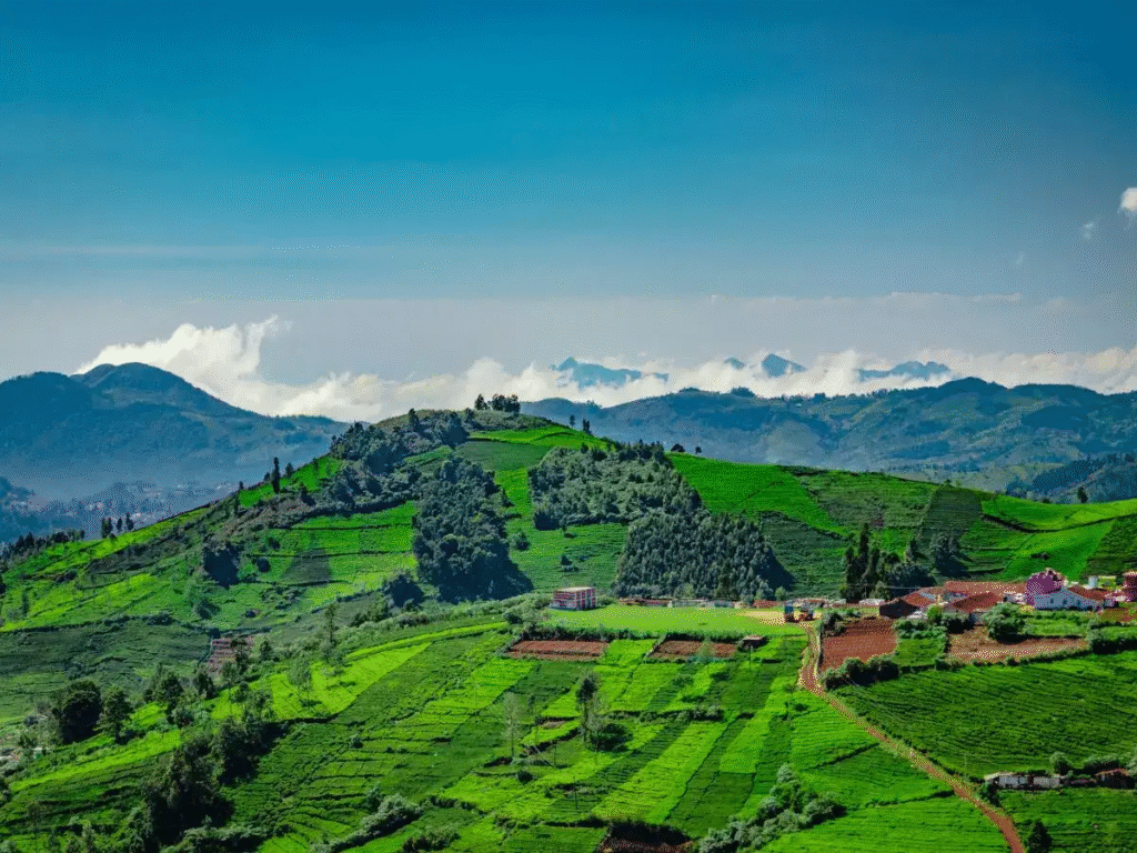 7 Reasons South Indian Hill Stations Deserve a Spot on Your Travel List
