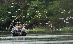 5 Rivers Around the World That Offer Incredible Wildlife Safaris