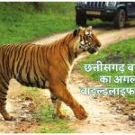 wildlife