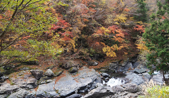 The Japanese town that hasn’t sent trash to a landfill since 2003 and how it did it