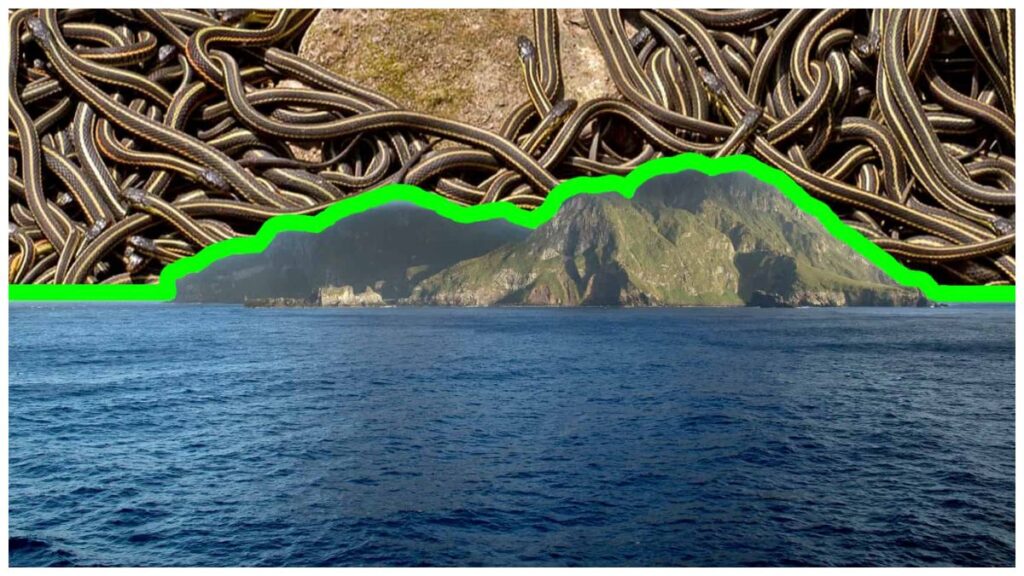 Snake Island