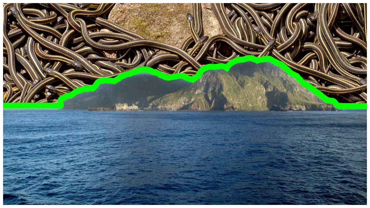 Snake Island