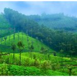 valparai