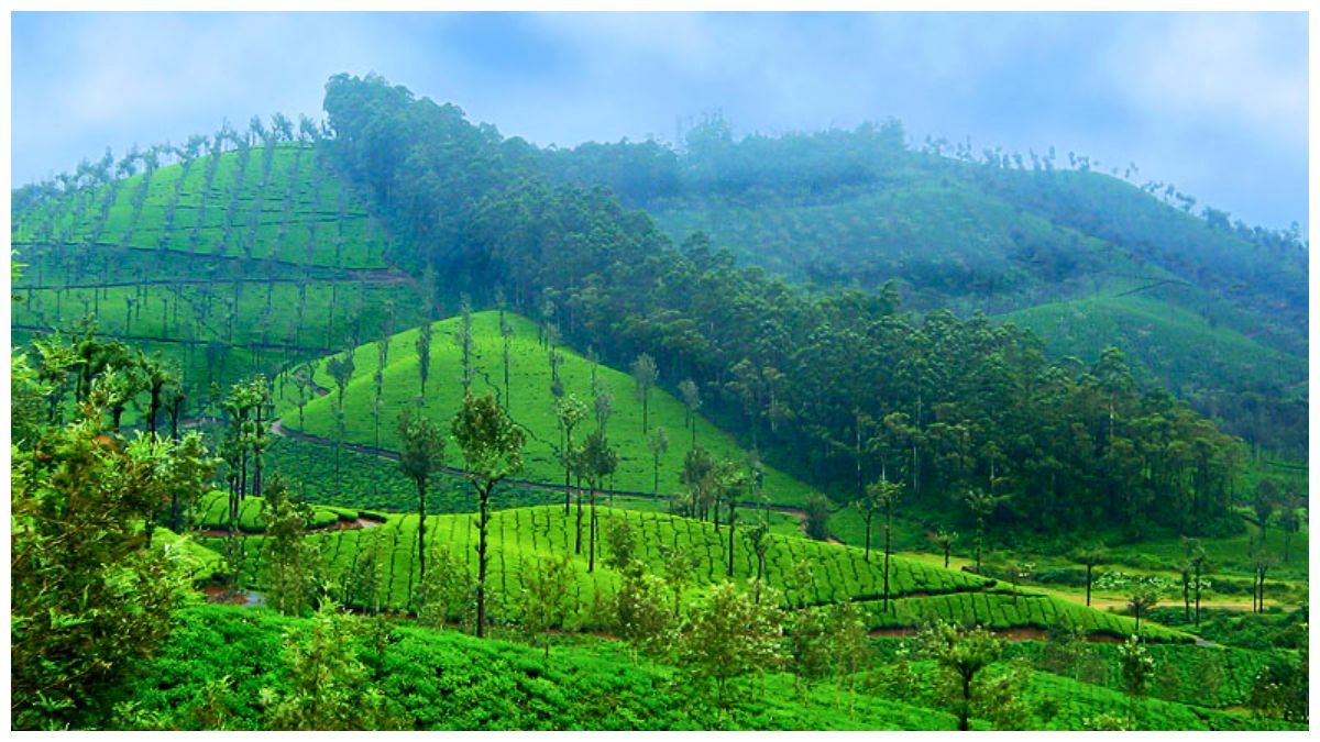 valparai