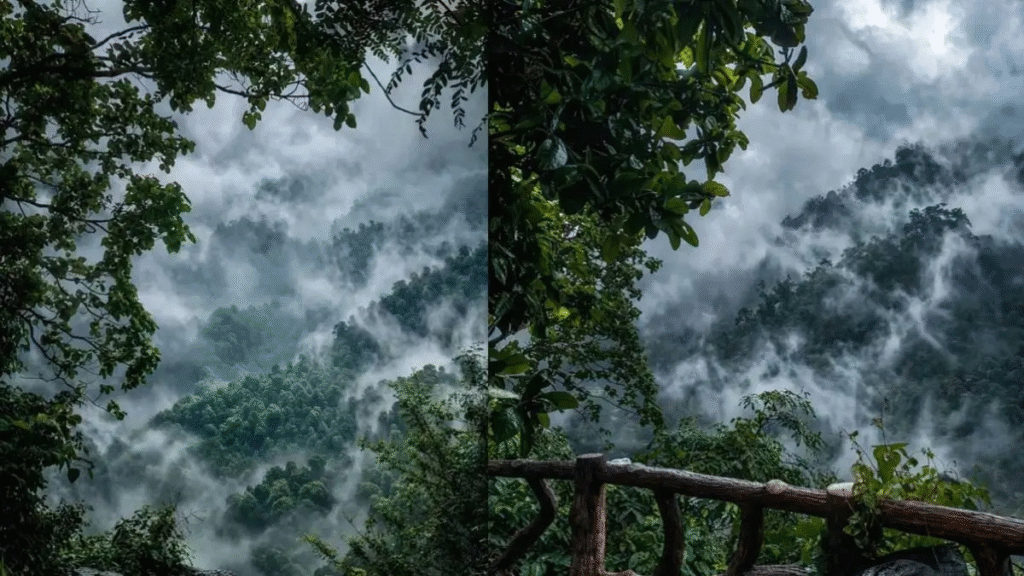 मानसून में निखरा टाटामारी का सौंदर्य, बादलों और हरियाली के बीच उमड़ रहे पर्यटक
