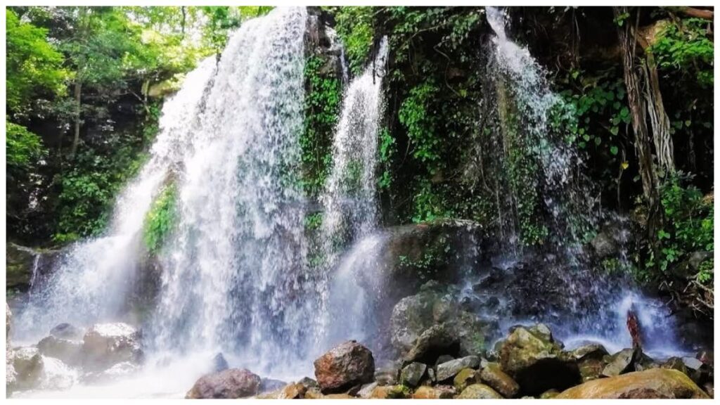 jashpur