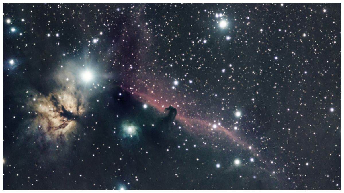 stars